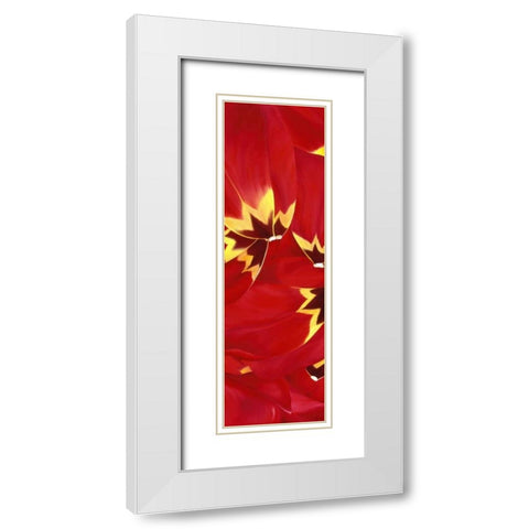 Red and Close to you White Modern Wood Framed Art Print with Double Matting by Poelstra-Holzhaus, Yvonne