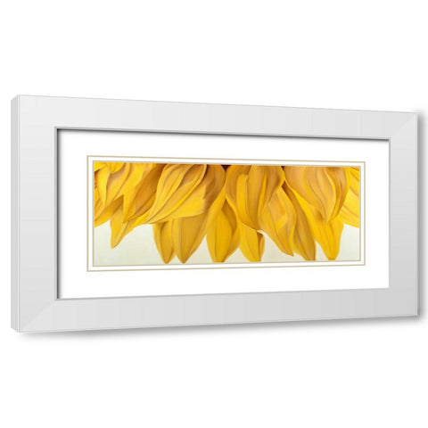Sunny Yellow White Modern Wood Framed Art Print with Double Matting by Poelstra-Holzhaus, Yvonne