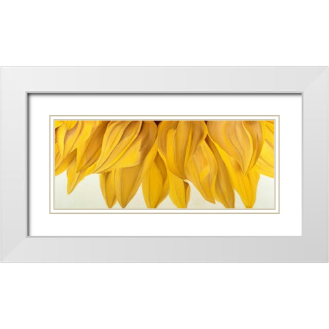 Sunny Yellow White Modern Wood Framed Art Print with Double Matting by Poelstra-Holzhaus, Yvonne