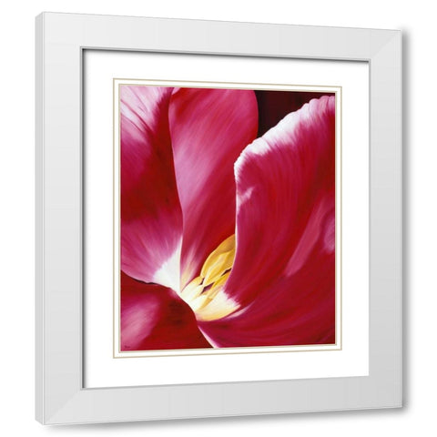 Look closer White Modern Wood Framed Art Print with Double Matting by Poelstra-Holzhaus, Yvonne