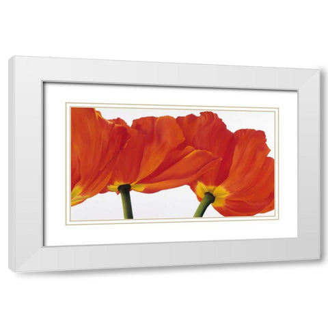 Spring dance White Modern Wood Framed Art Print with Double Matting by Poelstra-Holzhaus, Yvonne
