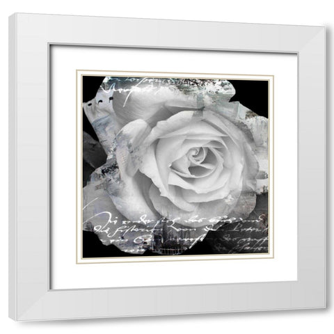 White Rose I White Modern Wood Framed Art Print with Double Matting by Baker, Micha