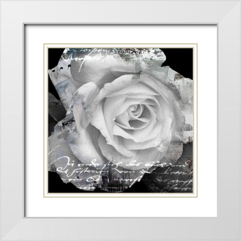 White Rose I White Modern Wood Framed Art Print with Double Matting by Baker, Micha