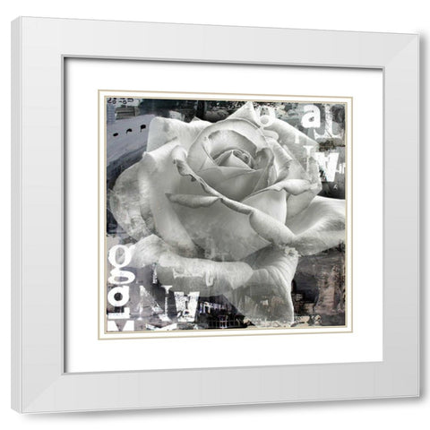 White Rose II White Modern Wood Framed Art Print with Double Matting by Baker, Micha
