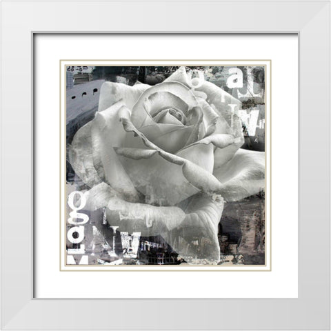 White Rose II White Modern Wood Framed Art Print with Double Matting by Baker, Micha