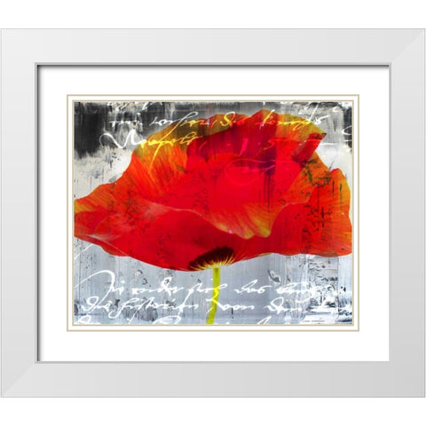Poppy Story II White Modern Wood Framed Art Print with Double Matting by Baker, Micha