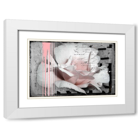 Pink Rose White Modern Wood Framed Art Print with Double Matting by Baker, Micha