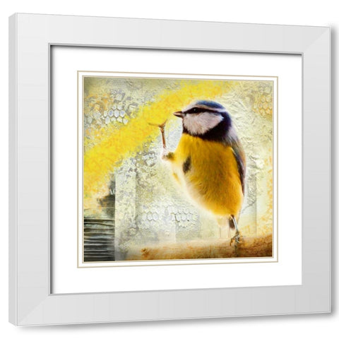Birdy White Modern Wood Framed Art Print with Double Matting by de Haas, Mascha