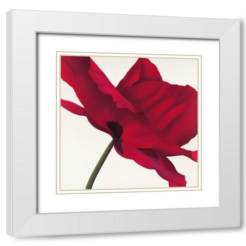 Papaver I White Modern Wood Framed Art Print with Double Matting by Poelstra-Holzhaus, Yvonne