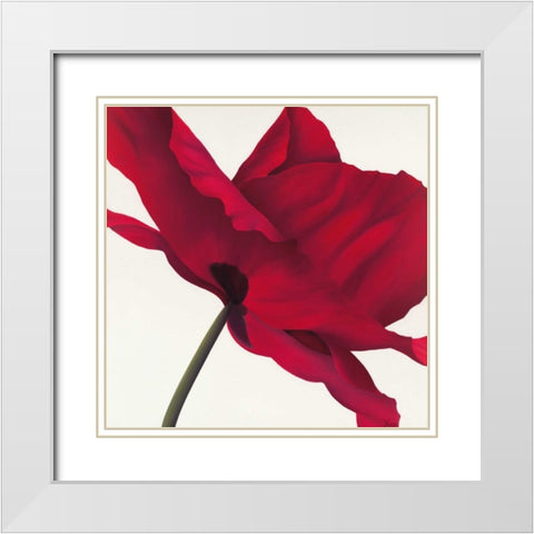 Papaver I White Modern Wood Framed Art Print with Double Matting by Poelstra-Holzhaus, Yvonne