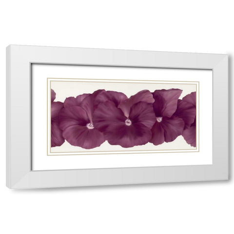 Violet Flower III White Modern Wood Framed Art Print with Double Matting by Poelstra-Holzhaus, Yvonne