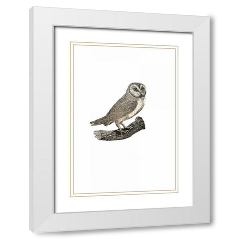 Oehoe White Modern Wood Framed Art Print with Double Matting by Waltz, Anne