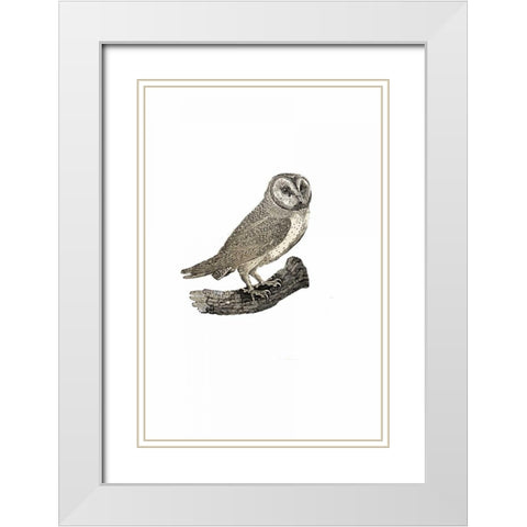 Oehoe White Modern Wood Framed Art Print with Double Matting by Waltz, Anne