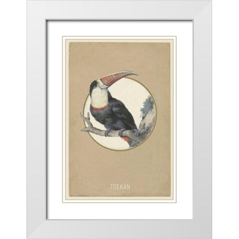 Toekan White Modern Wood Framed Art Print with Double Matting by Waltz, Anne