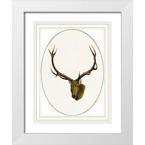 Deer II White Modern Wood Framed Art Print with Double Matting by Waltz, Anne