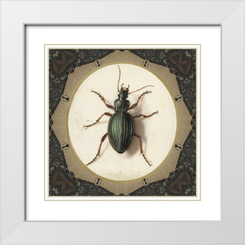 Bug me.. White Modern Wood Framed Art Print with Double Matting by Waltz, Anne