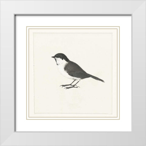 Birdy II White Modern Wood Framed Art Print with Double Matting by Waltz, Anne