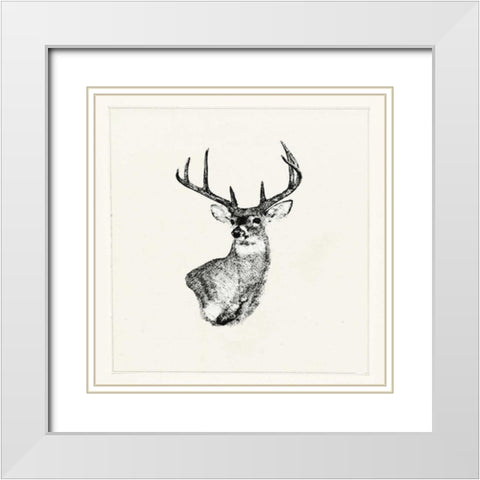 Adeerable II White Modern Wood Framed Art Print with Double Matting by Waltz, Anne