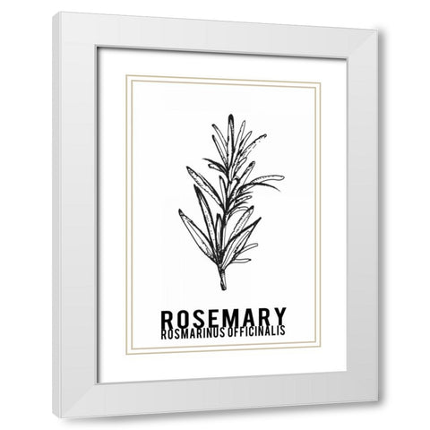 Rosemary herbs  White Modern Wood Framed Art Print with Double Matting by Waltz, Anne