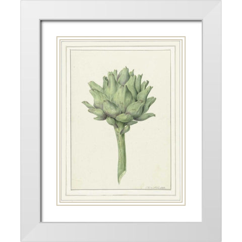 Classic veg White Modern Wood Framed Art Print with Double Matting by Waltz, Anne