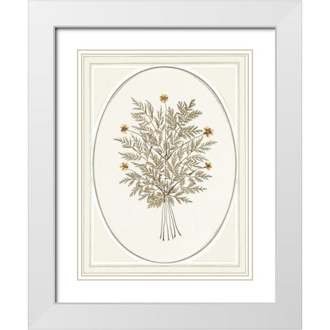 Gardenio IV White Modern Wood Framed Art Print with Double Matting by Waltz, Anne