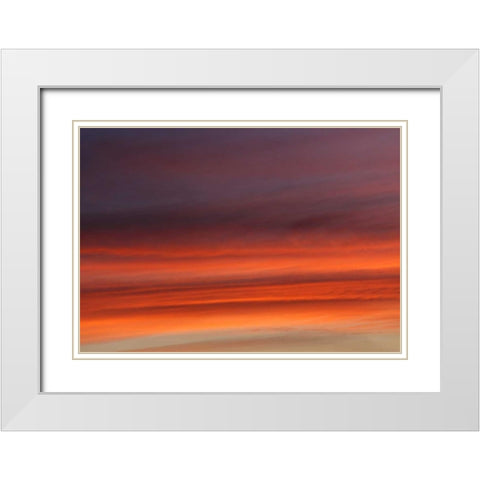 Traum White Modern Wood Framed Art Print with Double Matting by Paprotny, Bogdan