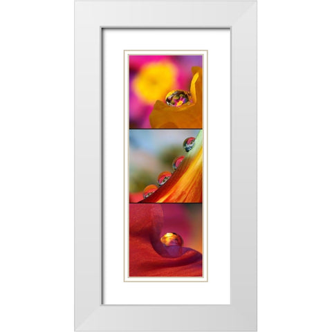 Jeux des Boules II White Modern Wood Framed Art Print with Double Matting by Laimgruber, Dagmar