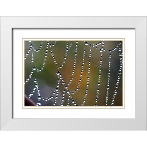 Tausend kleine Sonnen White Modern Wood Framed Art Print with Double Matting by Rossmeissl, Gerhard