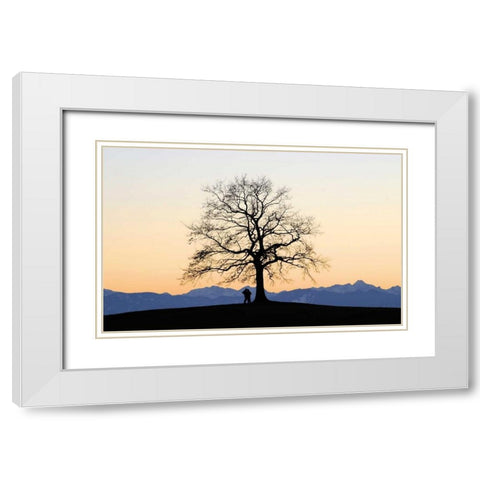 Abenddammerung I White Modern Wood Framed Art Print with Double Matting by Rossmeissl, Gerhard