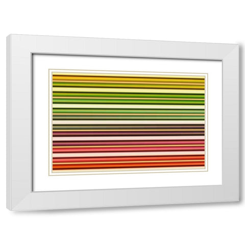 Color Lines I White Modern Wood Framed Art Print with Double Matting by Rossmeissl, Gerhard