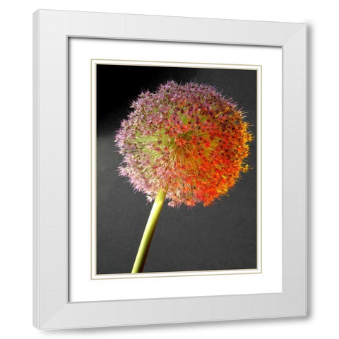 Naturform 2 White Modern Wood Framed Art Print with Double Matting by Weissing, Gerd