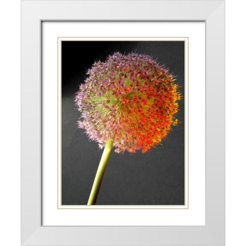 Naturform 2 White Modern Wood Framed Art Print with Double Matting by Weissing, Gerd