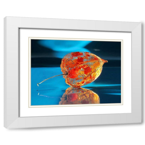 Ballonblume White Modern Wood Framed Art Print with Double Matting by Weissing, Gerd