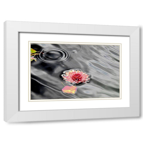 Traumwasser White Modern Wood Framed Art Print with Double Matting by Weissing, Gerd