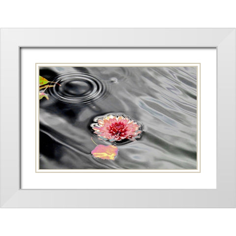Traumwasser White Modern Wood Framed Art Print with Double Matting by Weissing, Gerd