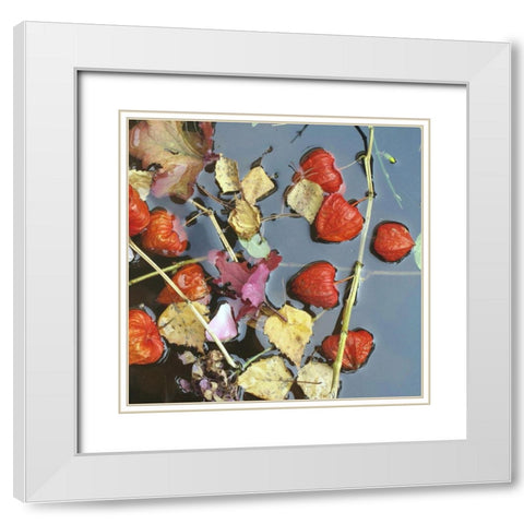 Herbstwasser White Modern Wood Framed Art Print with Double Matting by Weissing, Gerd