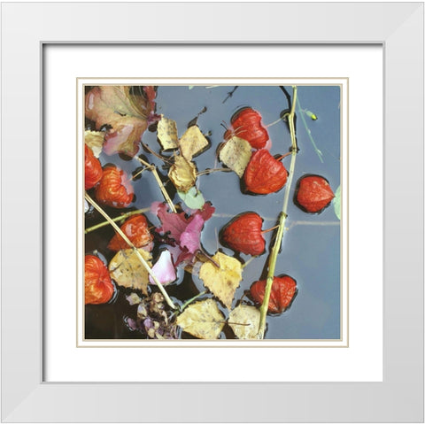 Herbstwasser White Modern Wood Framed Art Print with Double Matting by Weissing, Gerd