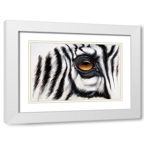 Zebra Augenblick White Modern Wood Framed Art Print with Double Matting by Plath, Jutta