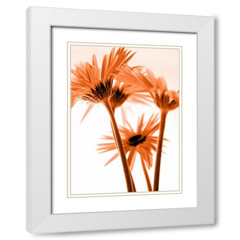 Rendez-Vous II White Modern Wood Framed Art Print with Double Matting by Riedt, Kirsten