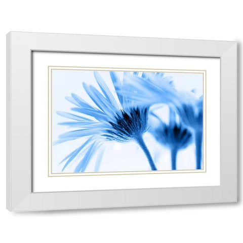 Romance in blue White Modern Wood Framed Art Print with Double Matting by Riedt, Kirsten