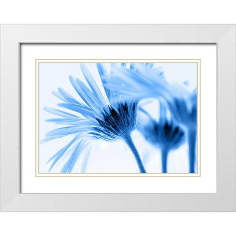 Romance in blue White Modern Wood Framed Art Print with Double Matting by Riedt, Kirsten