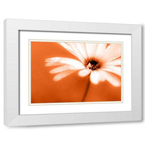 Leaned White Modern Wood Framed Art Print with Double Matting by Riedt, Kirsten