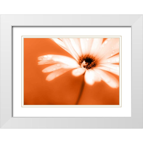 Leaned White Modern Wood Framed Art Print with Double Matting by Riedt, Kirsten
