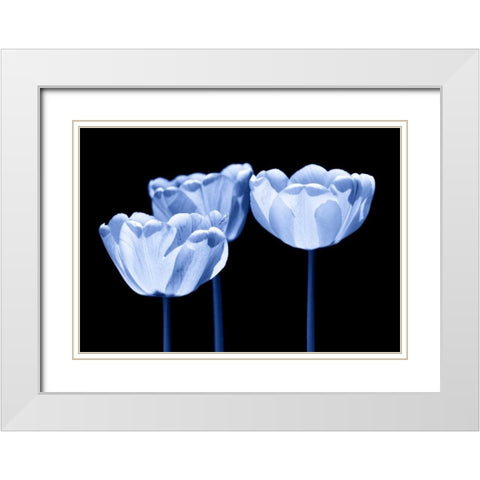 Three of us White Modern Wood Framed Art Print with Double Matting by Riedt, Kirsten