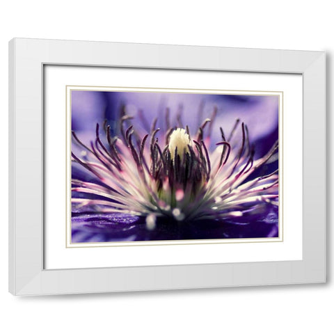 Purple melody White Modern Wood Framed Art Print with Double Matting by Riedt, Kirsten
