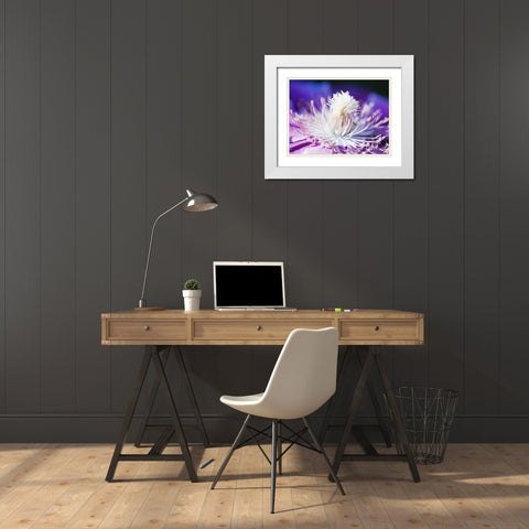 White and purple White Modern Wood Framed Art Print with Double Matting by Riedt, Kirsten