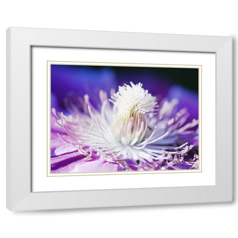 White and purple White Modern Wood Framed Art Print with Double Matting by Riedt, Kirsten