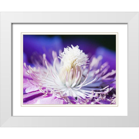 White and purple White Modern Wood Framed Art Print with Double Matting by Riedt, Kirsten