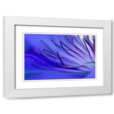 Blue arms White Modern Wood Framed Art Print with Double Matting by Riedt, Kirsten
