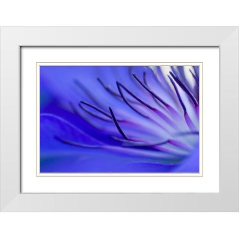 Blue arms White Modern Wood Framed Art Print with Double Matting by Riedt, Kirsten